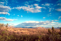 91.02.12