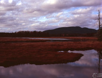 Maine1.6