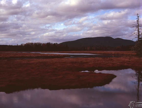 Maine1.6