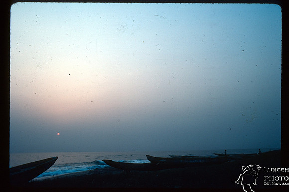 t31-30